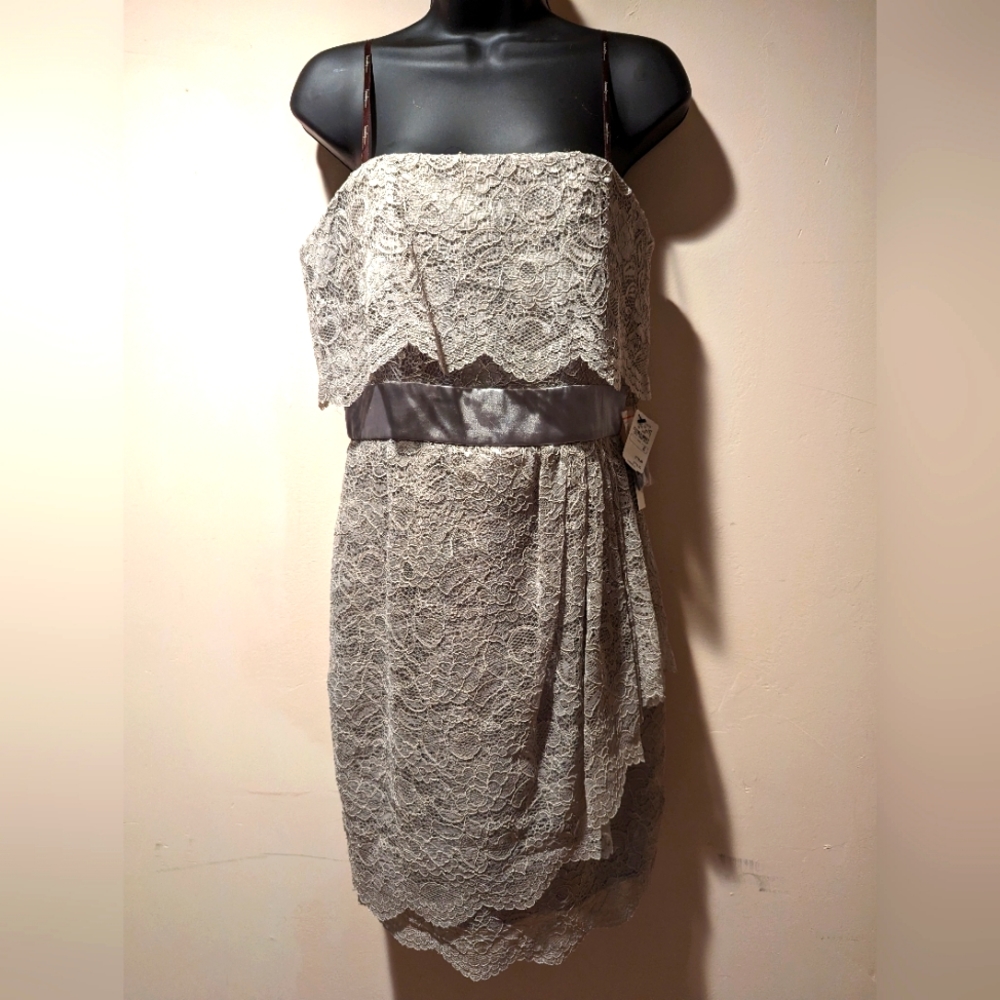 Nwt Neiman Marcus strapless silver lace dress size 8